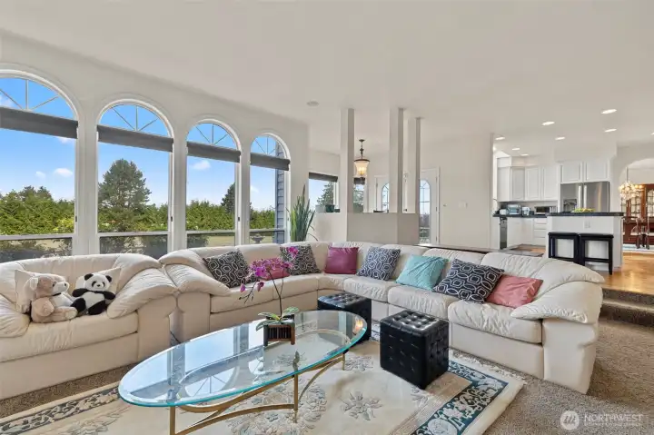 Sunken Family Room off Kitchen