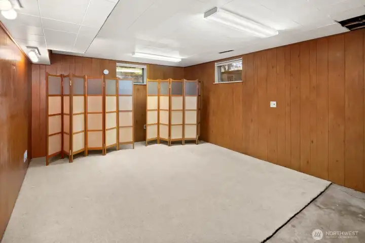 Basement bonus room
