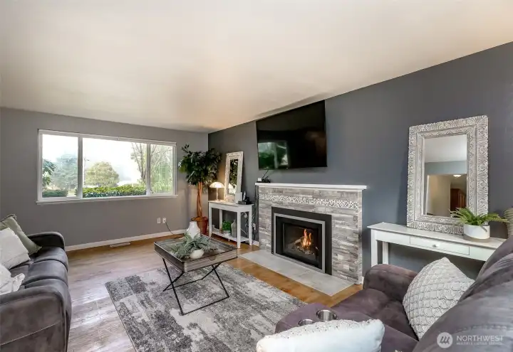 Cozy Gas Fireplace for Cold Nights