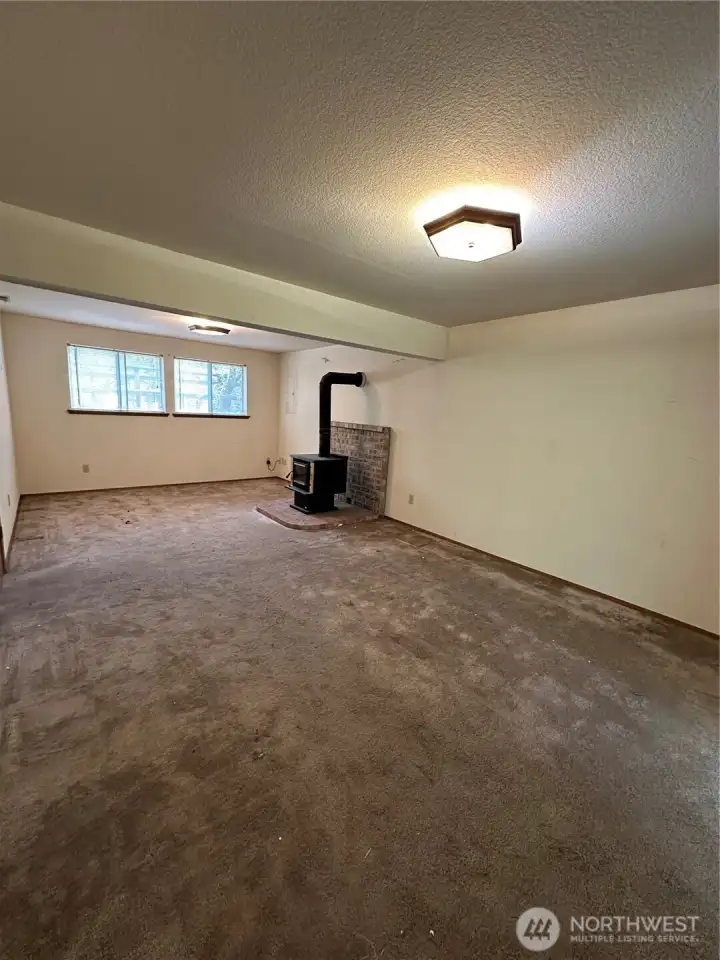 Lower Level Family Room