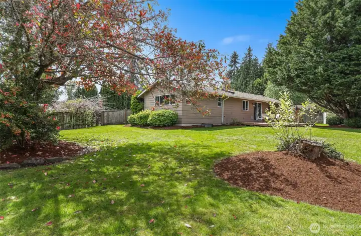The fully-fenced backyard is spacious.