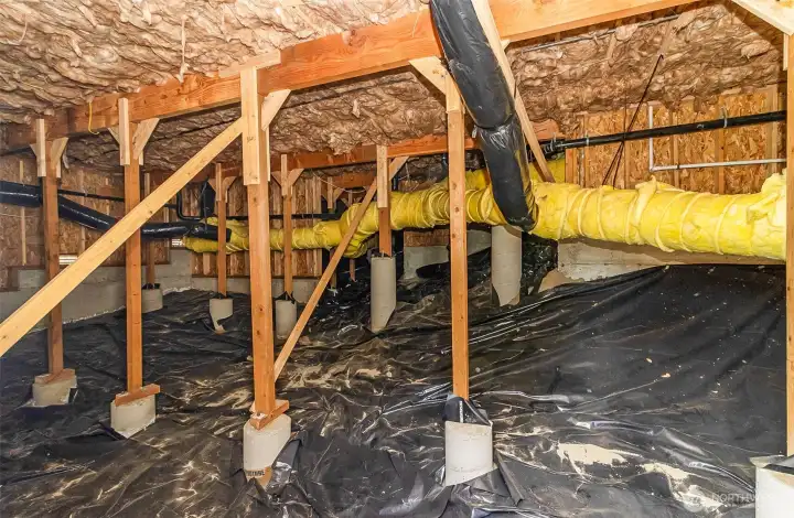 Expansive crawlspace storage Expansive crawlspace storage