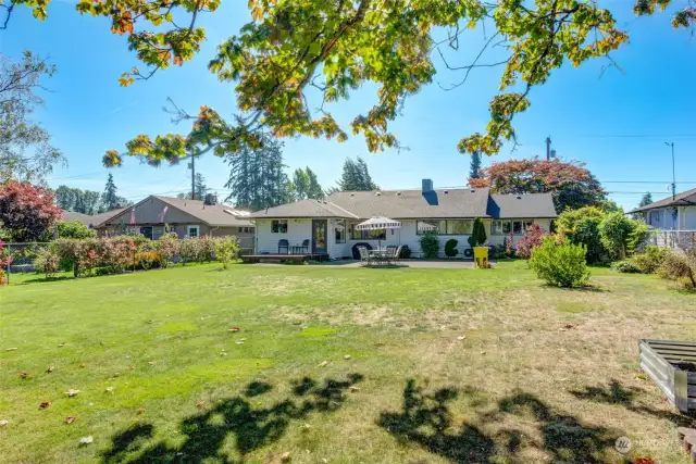 Giant level backyard!  Fenced too!