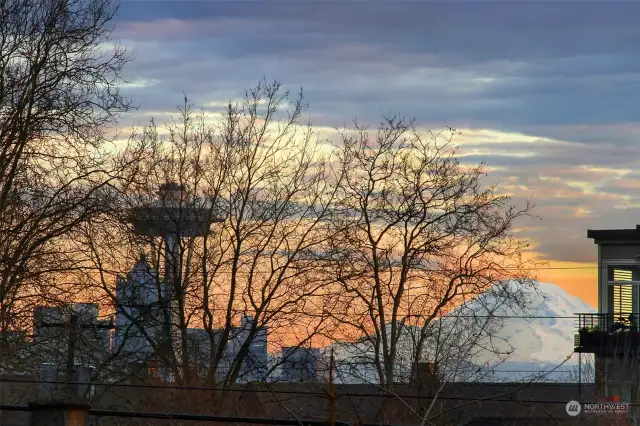 Views of the Space Needle from the unit.