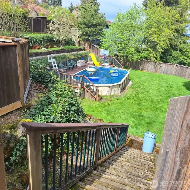 Backyard & Pool 1