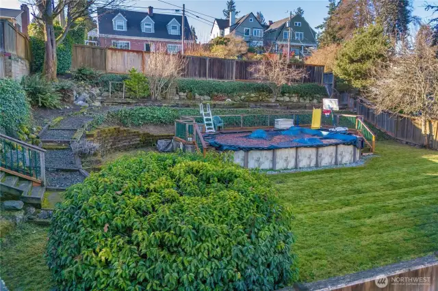 Backyard and Pool