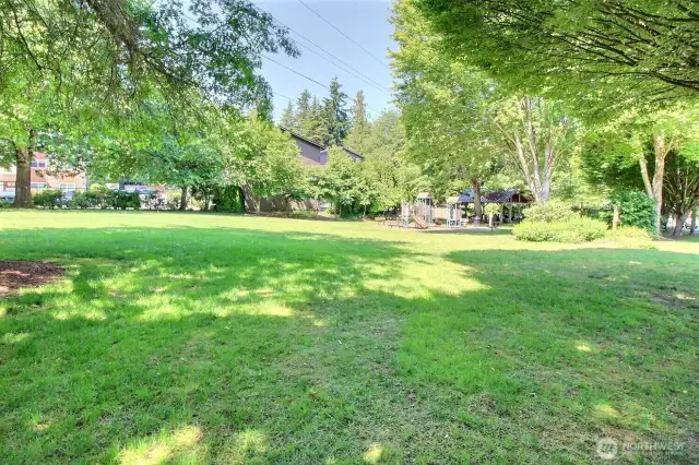 Large grass area.