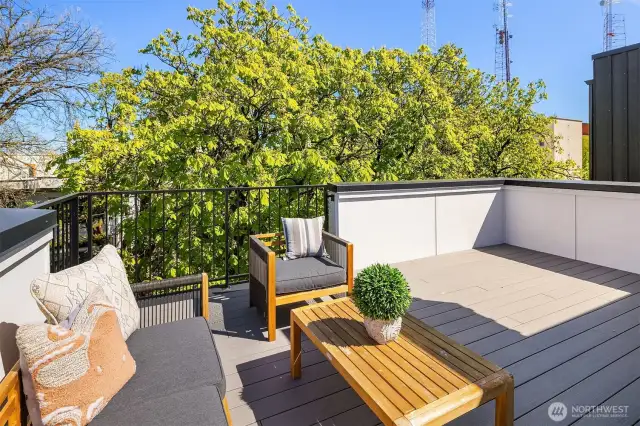 Enjoy the views from the rooftop deck