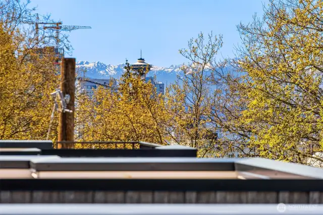 Enjoy the views from the rooftop deck