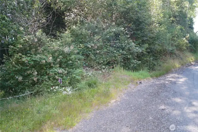 Potential Driveway Entrance