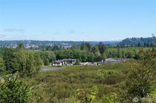 View from the PUD power line road (off the property).