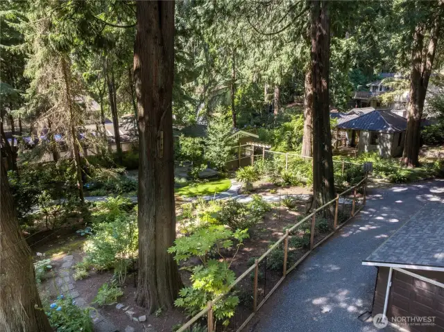 From main house fenced garden leads to artist studio and then 2nd home in the back, the large double garage is to the right.