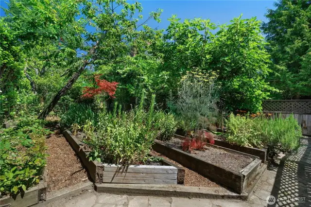 Tons of garden space!