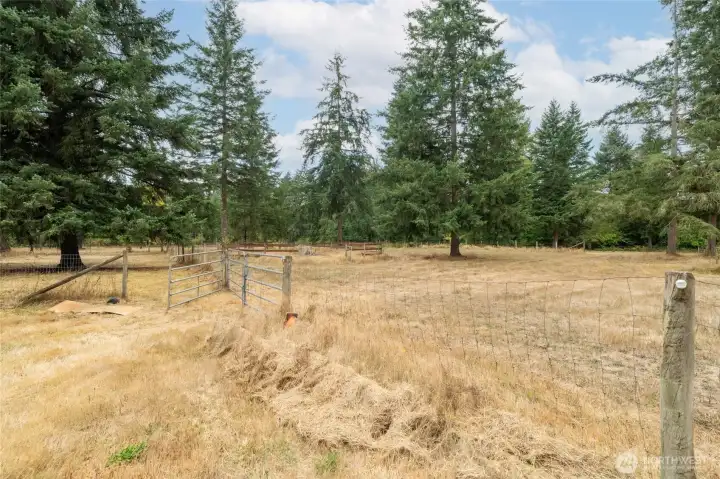 Pasture for all your four-legged friends!