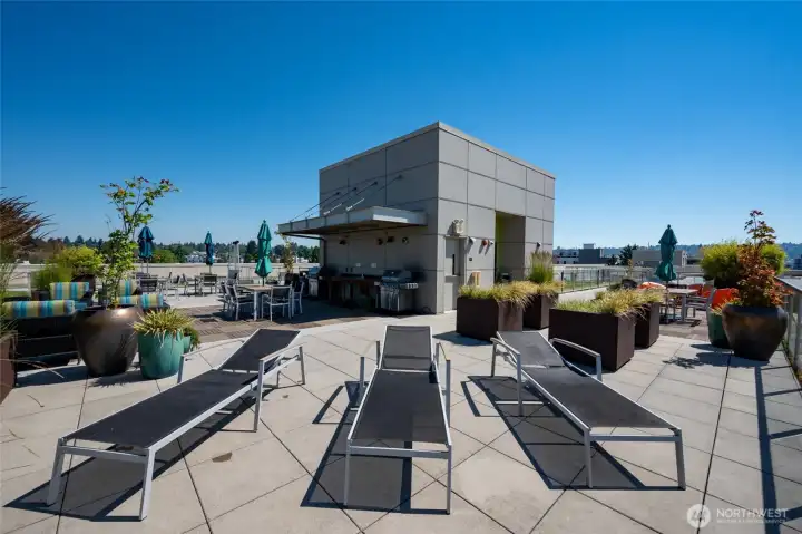 expansive roof top deck with dog wash area, dog run and barbeque