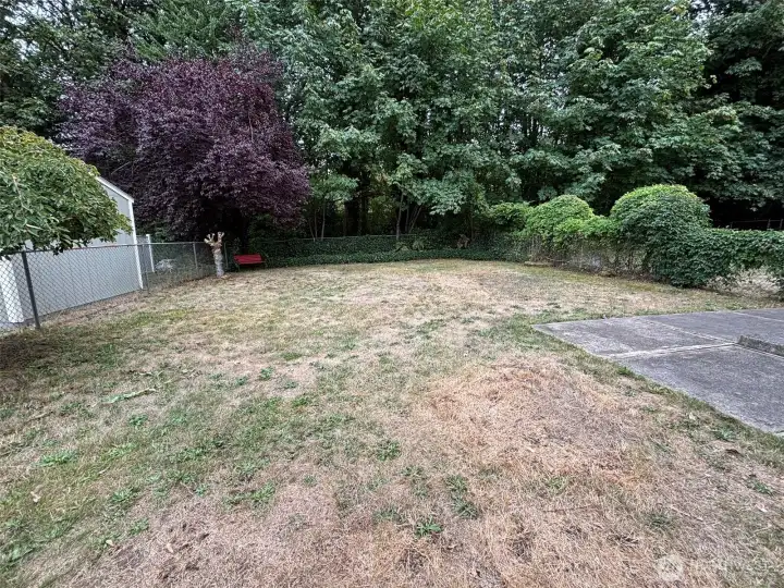 Rear yard for unit 2235