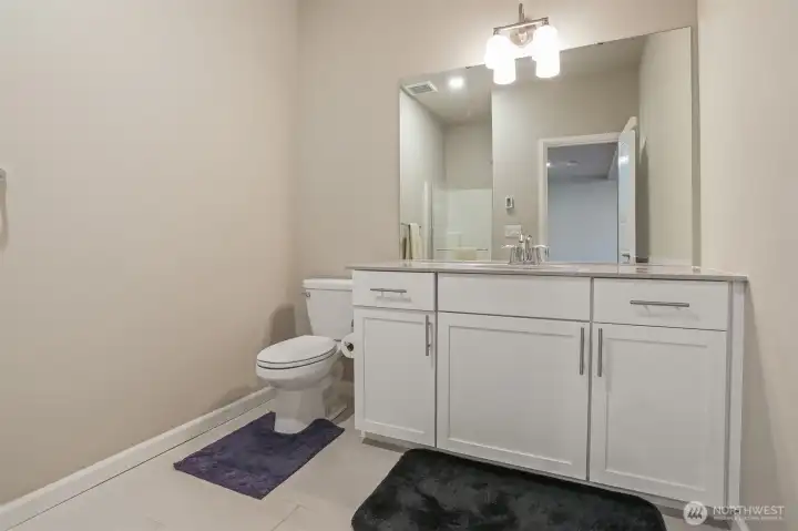 Daylight lower level 3/4 bathroom