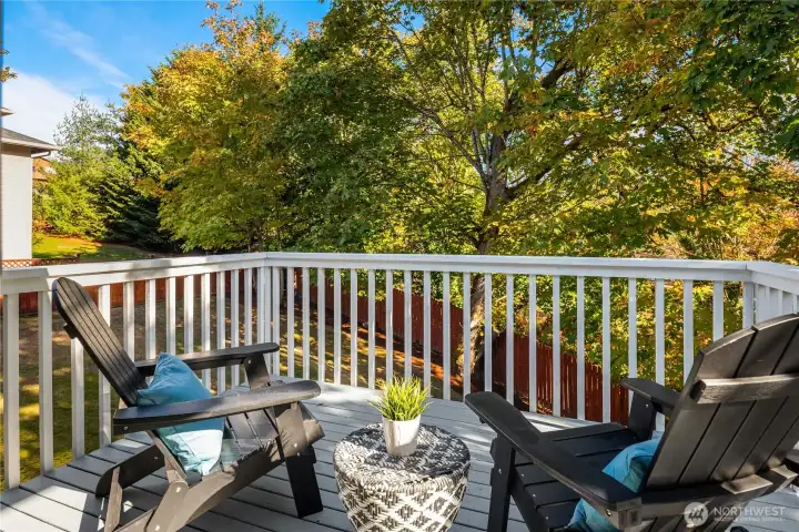 Right off the kitchen is this great barbecue deck that looks privately over the enormous fenced backyard.
