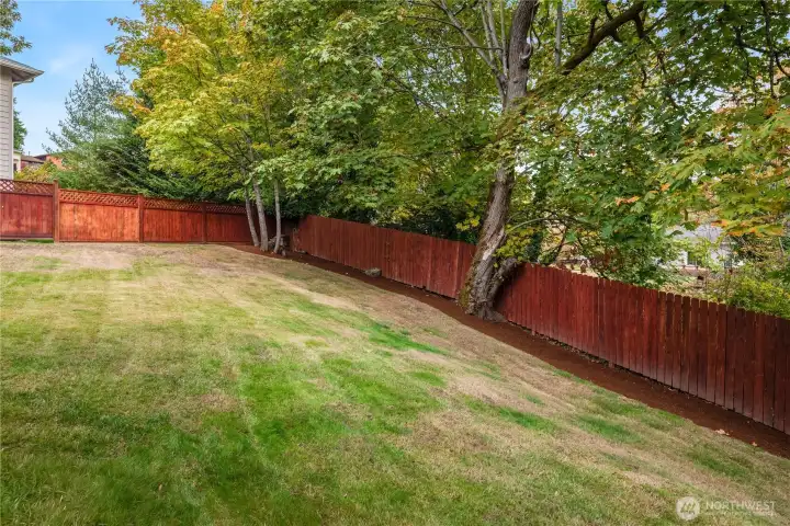 Lots of grass space that is fully fenced and framed by a barked border