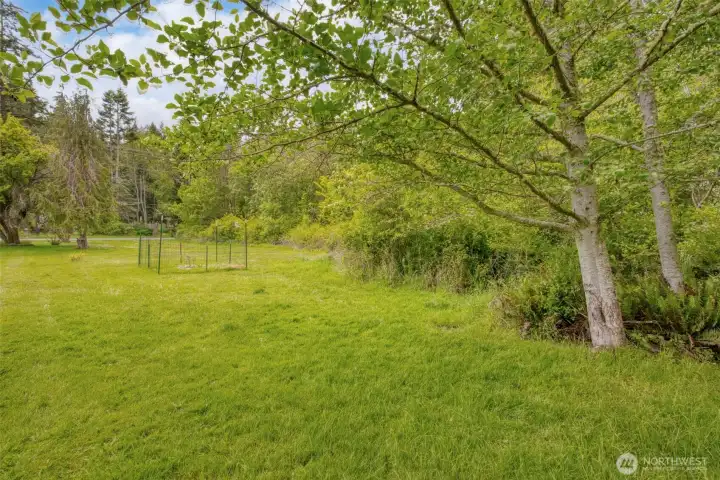 Lot is bordered by trees for privacy.