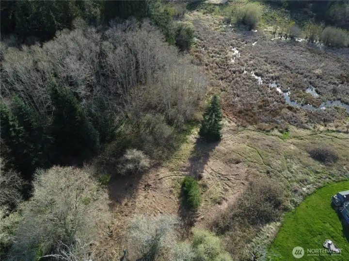 Some wetlands & forrest