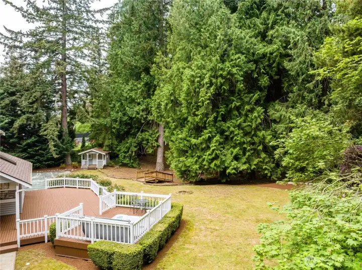 Check out this spacious fun backyard.  Plenty of room to play here.