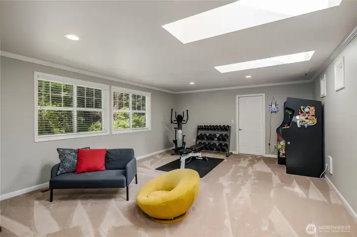 Bonus room with skylights...lots of room for friends to visit.