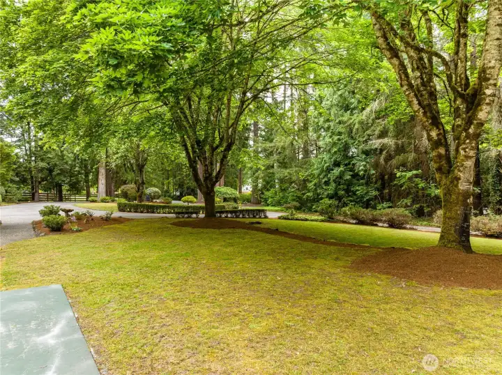 Parklike front yard.  The circular driveway provides lots of off-street parking for visiting friends and family.  This home is the perfect gathering place!
