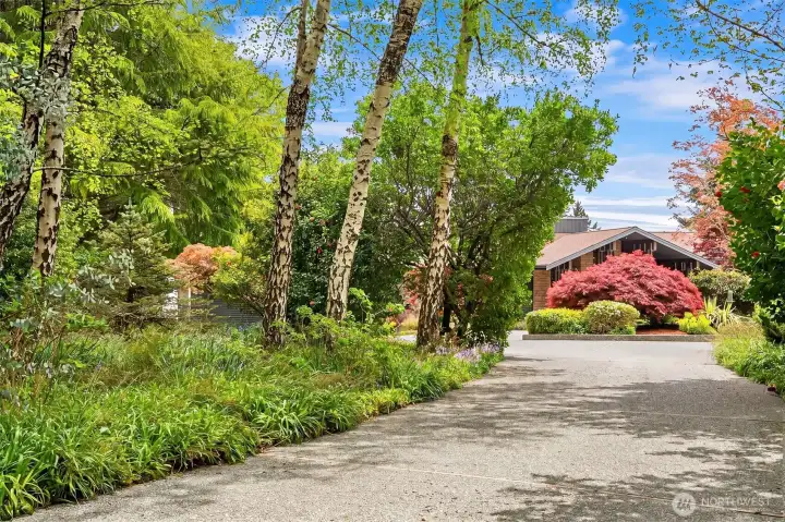 A graceful, tree-lined drive creates a memorable arrival to this secluded island retreat.
