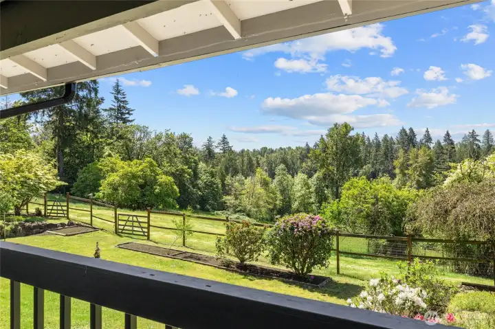 Views from deck!