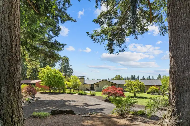 View from gated entry!  Property is treed for privacy and seclusion.