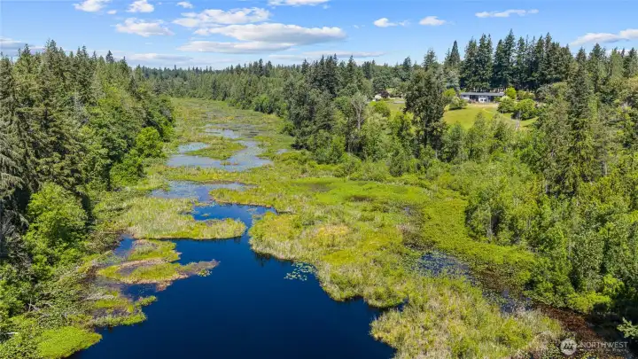 Lake Moneysmith and house up above.  Great for boating, fishing, and duck hunting!