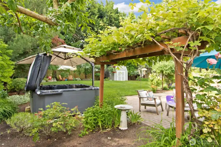a back yard oasis a back yard oasis