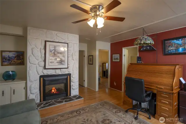 Electric Fireplace