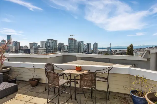 Gorgeous Rooftop Deck
