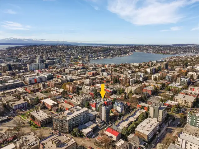Stone's throw to Lake Union