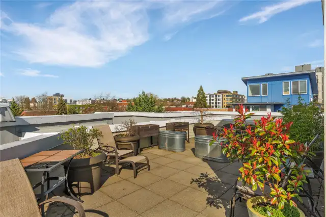 Rooftop Garden Space!