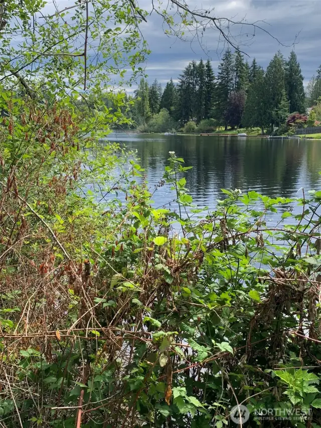 Low bank lakefront