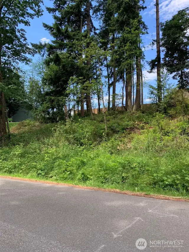 Lot across the street included