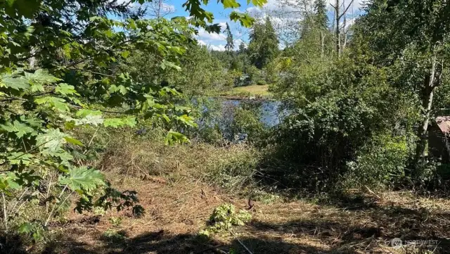 Some brush clearing done