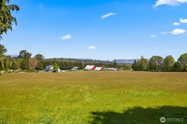 Flat and usable for most of the 20+ acres.