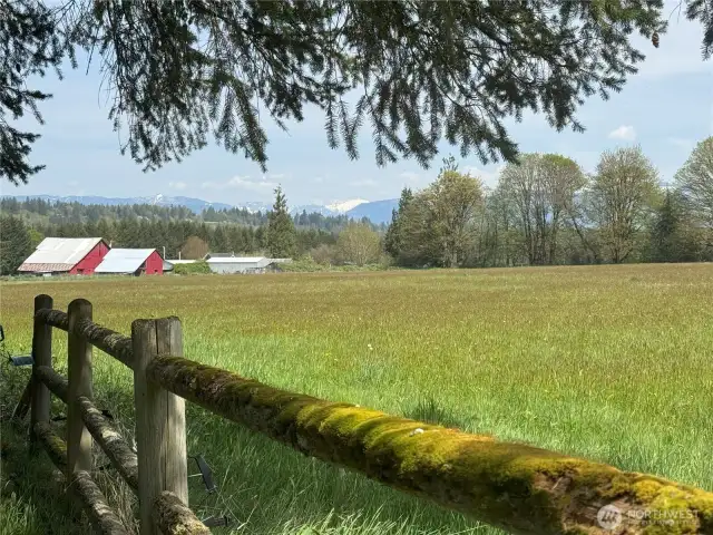 Plenty of room for a barn and arena out here!