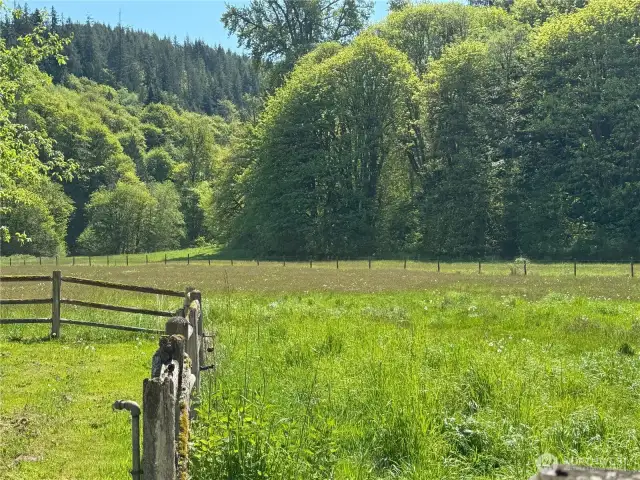 Looking from the outbuilding to the 5 and 12 acre pieces.  These were purchased initially to provide absolute privacy along the backside of the land.  Both of these parcels contain some steep terrain and are mostly wooded.