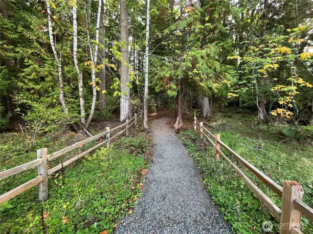 Trails nearby