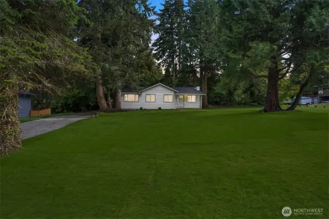 front yard