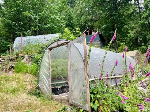 Greenhouse