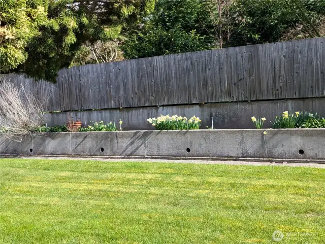 back yard raised flower beds