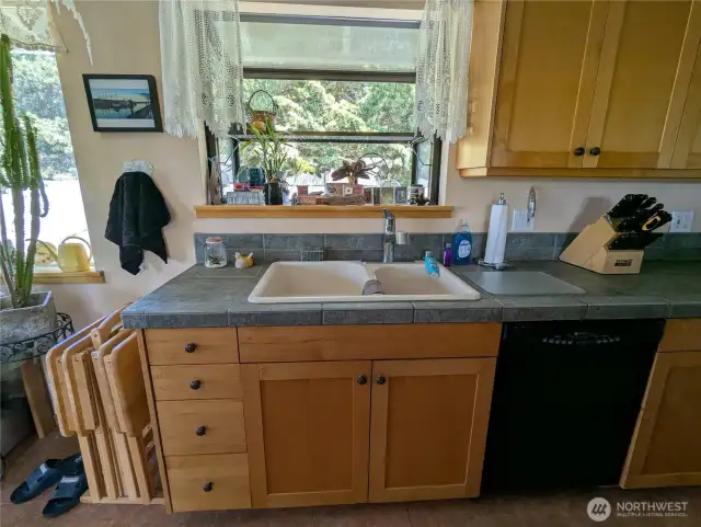 kitchen sink and plant window