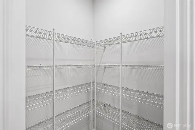 Spacious walk-in kitchen pantry