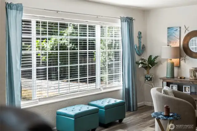 Living Room Window